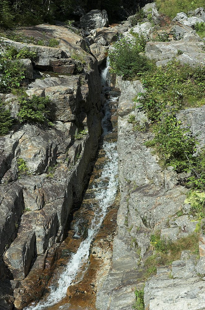 DSC_6104.jpg
