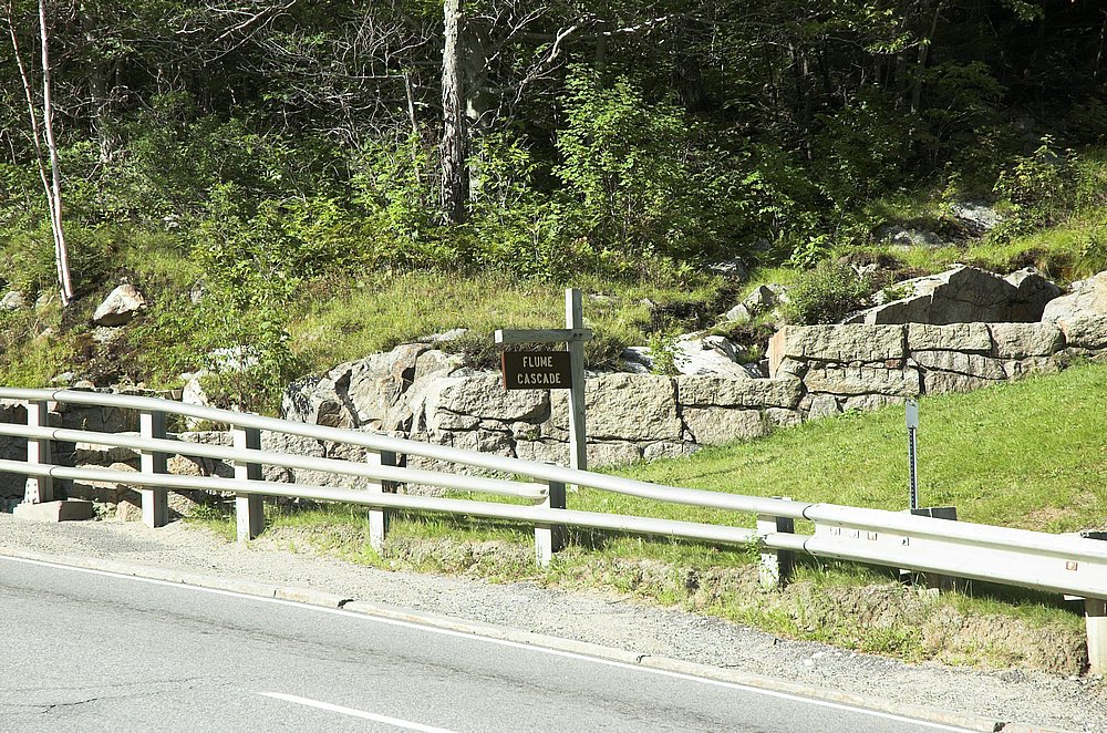 DSC_6110.jpg