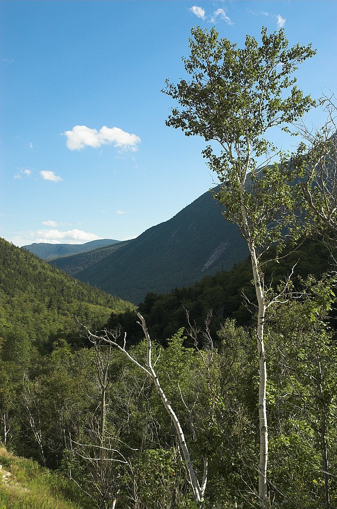 DSC_6117.jpg