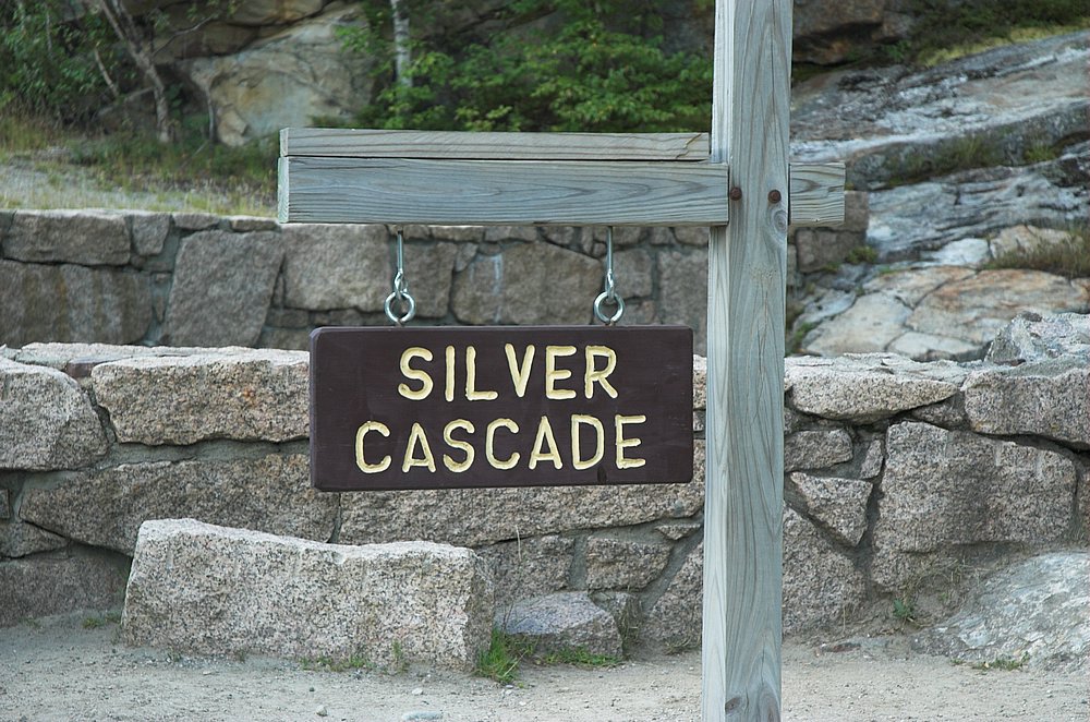 DSC_6130.jpg
