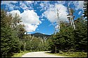 DSC_6047.jpg