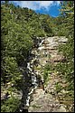 DSC_6102.jpg