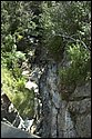 DSC_6111.jpg