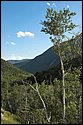 DSC_6117.jpg