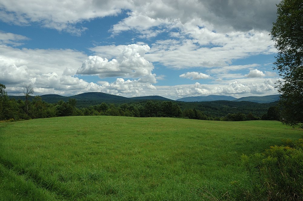 DSC_6213a.jpg