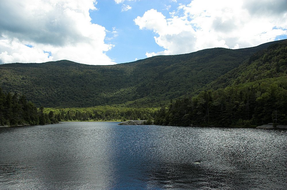 DSC_6248.jpg