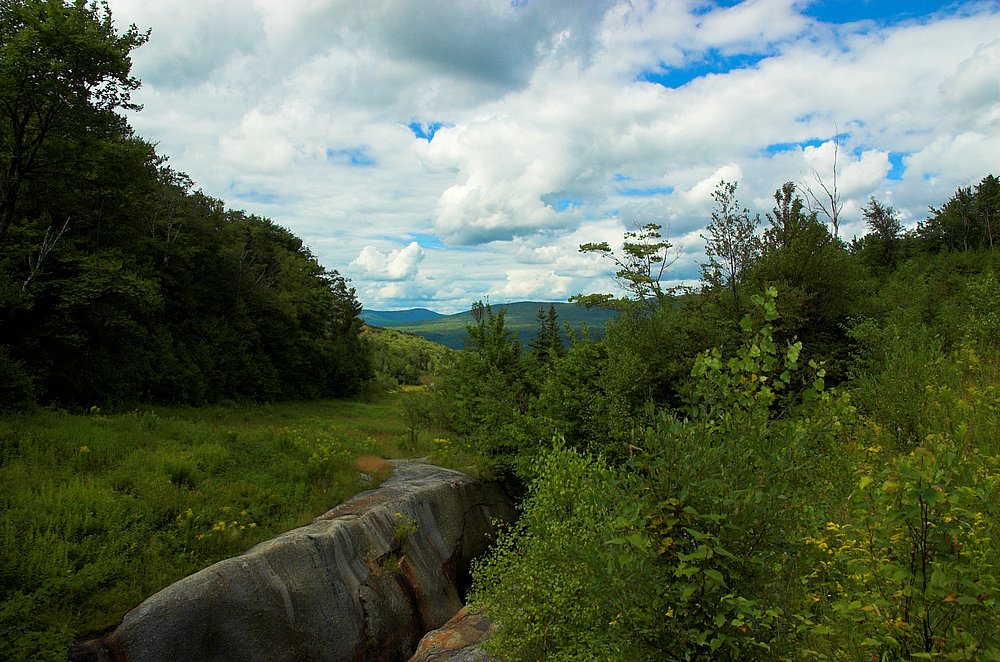 DSC_6274.jpg