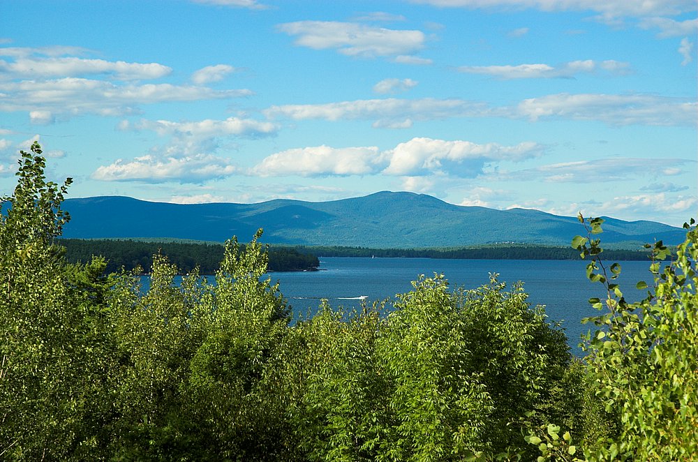 DSC_6288.jpg