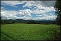 DSC_6213a.jpg