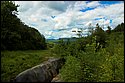DSC_6274.jpg