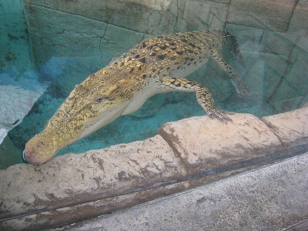 IMG_0662.JPG