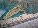 IMG_0662.JPG