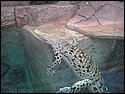 IMG_0665.JPG