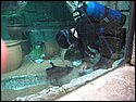 IMG_0670.JPG