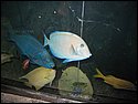 IMG_0682.JPG