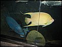 IMG_0683.JPG
