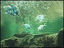 IMG_0685.JPG