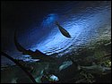 IMG_0686.JPG