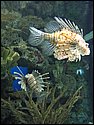 IMG_0695.JPG