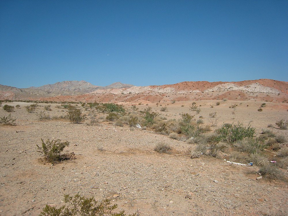 IMG_0755.JPG