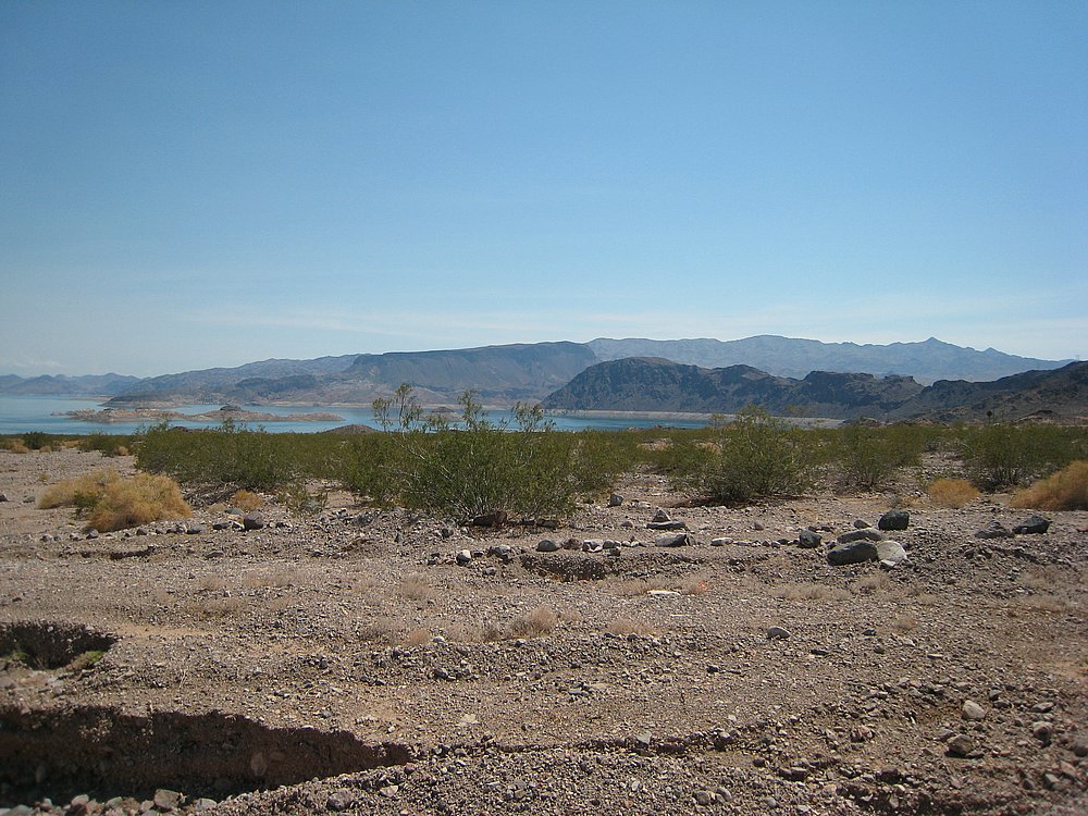IMG_0770.JPG