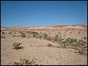 IMG_0755.JPG
