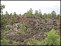 IMG_0911.JPG