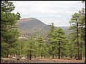 IMG_0912.JPG