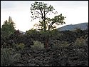 IMG_0936.JPG