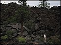 IMG_0938.JPG