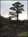 IMG_0942.JPG