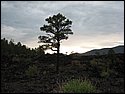 IMG_0943.JPG