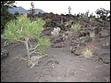 IMG_0951.JPG