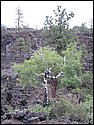 IMG_0956.JPG