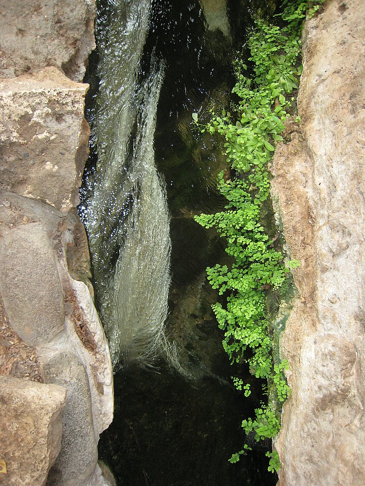 IMG_1010.JPG