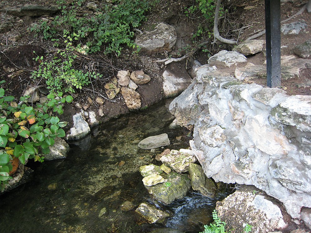 IMG_1061.JPG