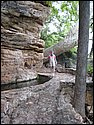 IMG_1005.JPG