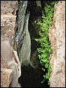 IMG_1010.JPG