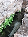 IMG_1012.JPG