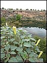 IMG_1030.JPG
