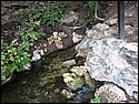 IMG_1061.JPG
