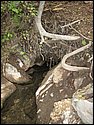 IMG_1062.JPG