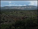IMG_1067.JPG