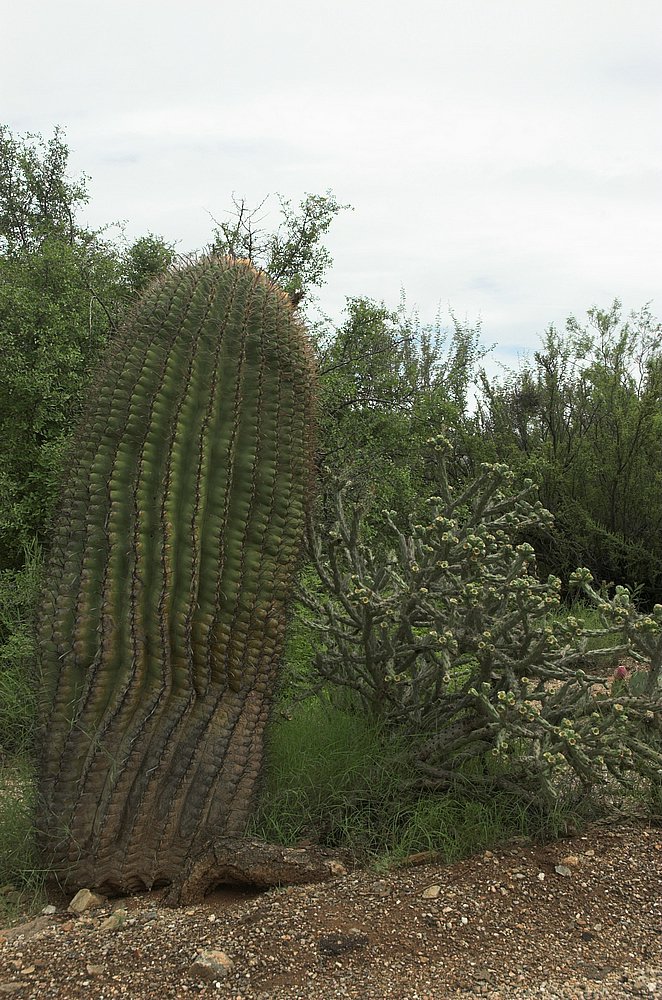DSC_9212-01.jpg