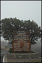 DSC_9173-01.jpg