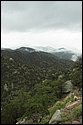 DSC_9180-01.jpg