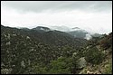 DSC_9181-01.jpg