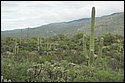 DSC_9194-01.jpg