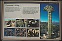 DSC_9199-01.jpg