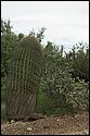 DSC_9212-01.jpg